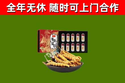 阳朔烟酒回收冬虫夏草礼盒.jpg